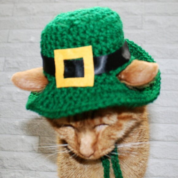 HAND CRAFTED Crochet Hat St. Patrick's Day Derby Cat Irish Costume Photo Prop - Picture 4 of 12